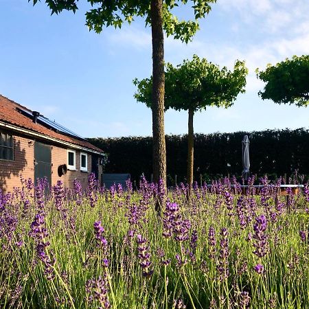 Lavender Lodge Achthuizen Экстерьер фото